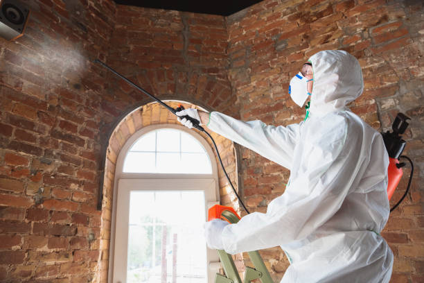 Best Mold Prevention Services  in Foley, MN